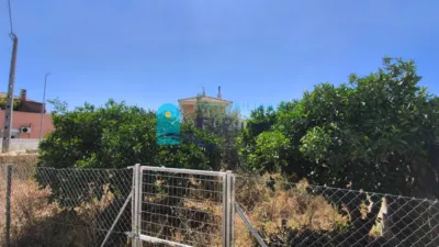 Rustic Finca in La Majada photo 25