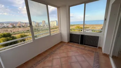 Apartment in Playa Muchavista photo 5