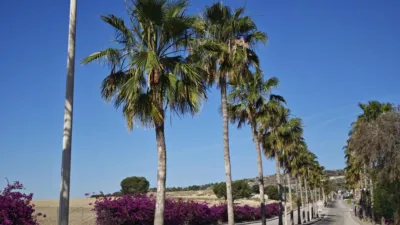 Chalet in Comunidad Valenciana photo 32