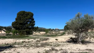 Finca rústica en Castalla photo 9