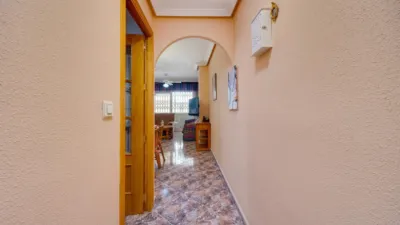 Apartment in Playa de los Locos photo 10