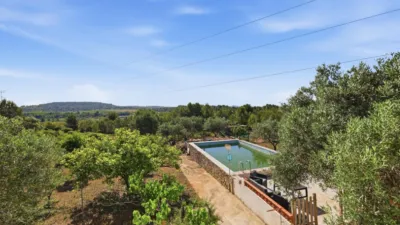 Chalet in Buñol Area photo 12