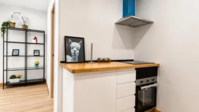 Apartment in Magaluf photo 5
