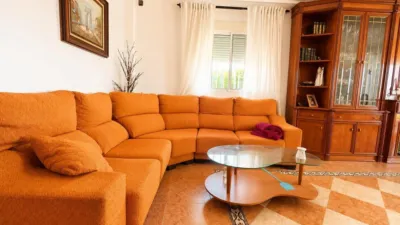 House on Avenida de los Árboles photo 18