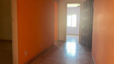 Apartment at Carrer Ginés García Esquitino, 93 photo 16