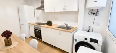 Pis – Elx - Elche - Vista 4