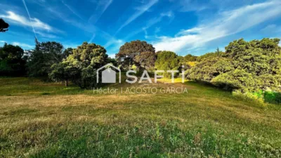 Single-family home in Las Rozas de Madrid photo 43