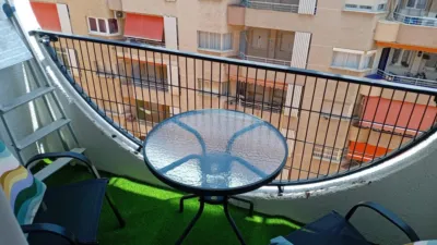 Pis – Torrevieja - Vista 5