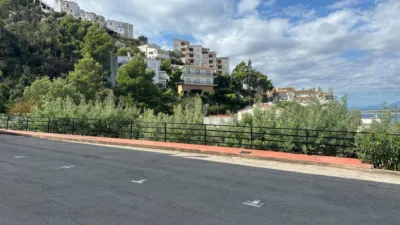 Apartment on Carrer de la Pujada del Puig Rom photo 37