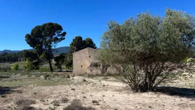 Finca rústica en Castalla photo 8