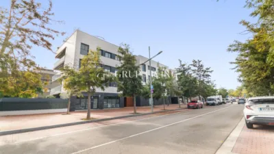 Apartment in La Plana photo 24