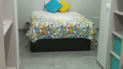 Apartment in Benalua photo 8