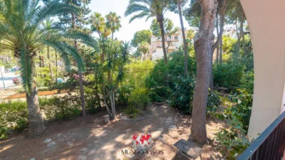 Chalet in Costa de La Calma photo 4