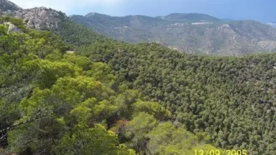 Chalet in Maimó photo 2