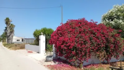 Casa – Daya Nueva, Barrio La Bodega - Vista 5