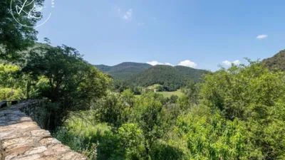 Rustic finca on Lloc Riera Mas Coromina street photo 54