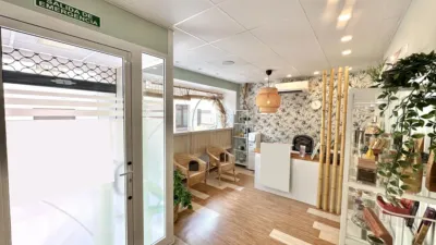 Chalet in Villanueva de Algaidas photo 10