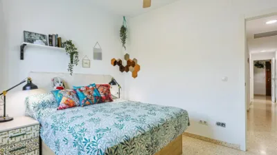 Apartment in Parque Alcosa photo 8