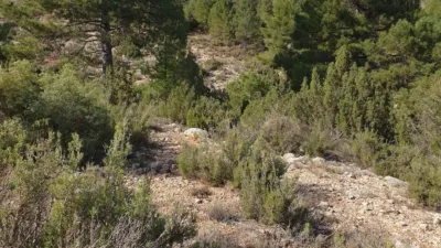 Terreno en venta en Calle Umbria Casa Collado - Vista 5