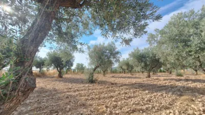 Terreno en venta en Comunidad Valenciana - Vista 3