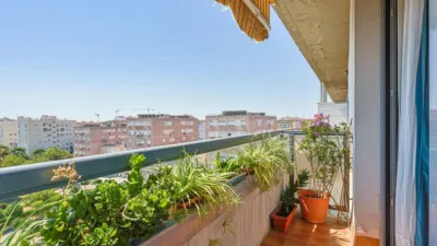 Apartment in Parque Alcosa photo 23