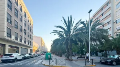 Pis – Elx - Elche - Vista 2