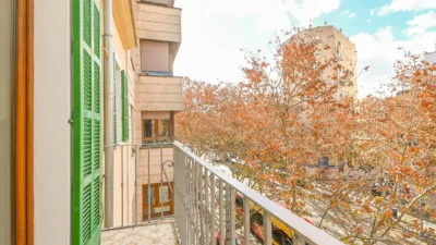 Apartment in Bons Aires photo 23