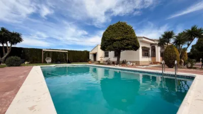 Casa – Elx - Elche - Vista 2