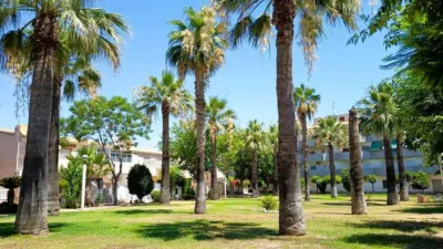Bungalow in Campoamor photo 29