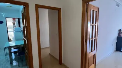 Apartment on Calle Historiador Antonio de Solís photo 4