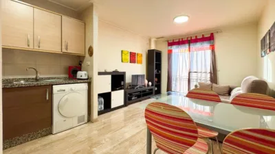 Pis – Elx - Elche - Vista 5