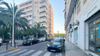 Pis – Elx - Elche - Vista 4