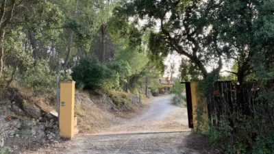 Rustic finca in Moratalla photo 21