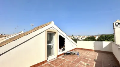 Chalet in Fuente de Piedra photo 49