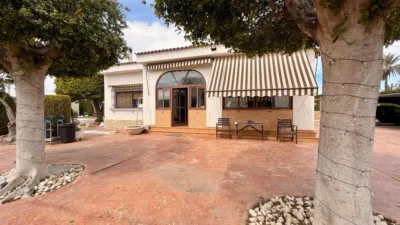 Casa – Elx - Elche - Vista 5