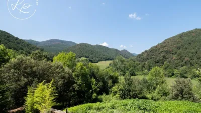 Rustic finca on Lloc Riera Mas Coromina street photo 52