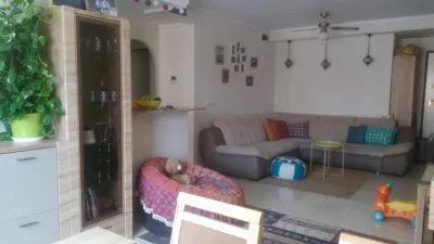 Apartment in Pueblo Patricia photo 5