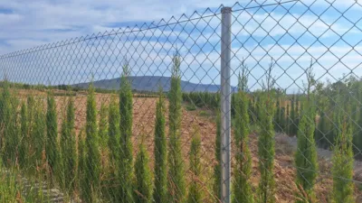 Terreno en venta en Comunidad Valenciana - Vista 4