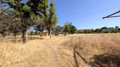 Rustic farm on Camino Collado Arroyo A Vadollano photo 54