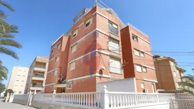 Piso – Guardamar del Segura, Urbanització Pinar de Guardamar - Vista 2
