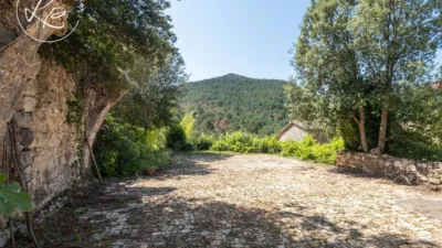 Rustic finca on Lloc Riera Mas Coromina street photo 48