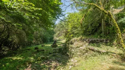 Rustic finca on Lloc Riera Mas Coromina street photo 50