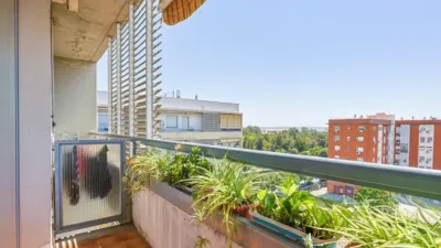 Apartment in Parque Alcosa photo 22