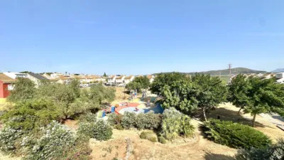Chalet in Fuente de Piedra photo 50