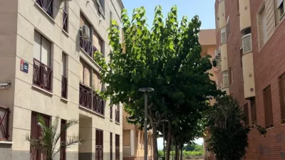 Apartment on Calle Historiador Antonio de Solís photo 28