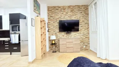 Apartment on San Vicente Street photo 5