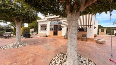 Casa – Elx - Elche - Més