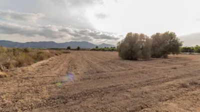 Terreno en venta en Campo - Vista 2