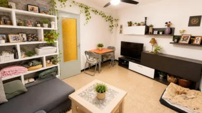 Flat in Calvario photo 2