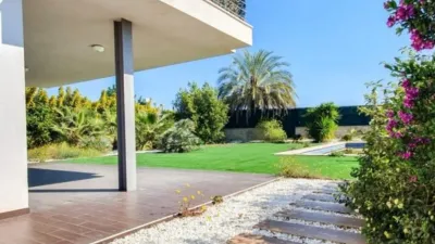 Casa – Elx - Elche - Vista 4